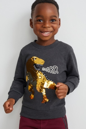 C&A Dinosaur Shiny Sweatshirts Meisjes Donkergrijs | 7386YEXOP