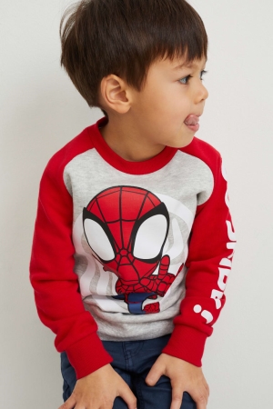 C&A Marvel Sweatshirts Meisjes Lichtgrijs | 0384HRSIV